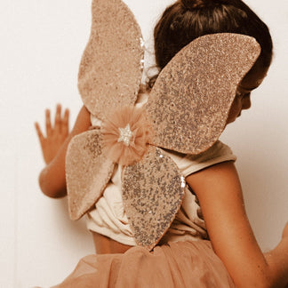 Das Glitzer-Schmetterlingskostüm