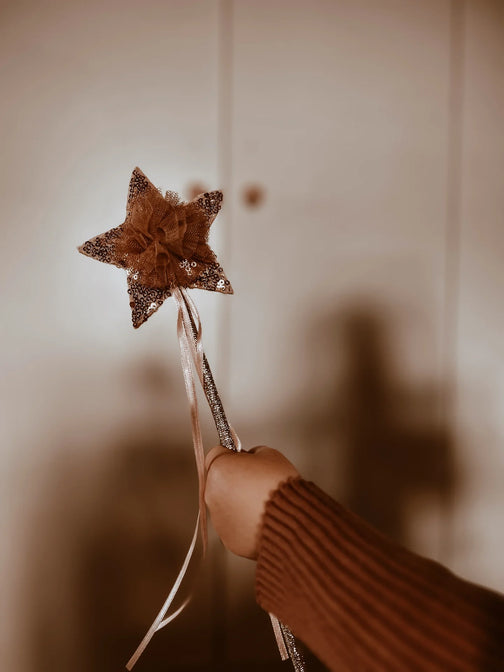 Das Glitzer-Schmetterlingskostüm