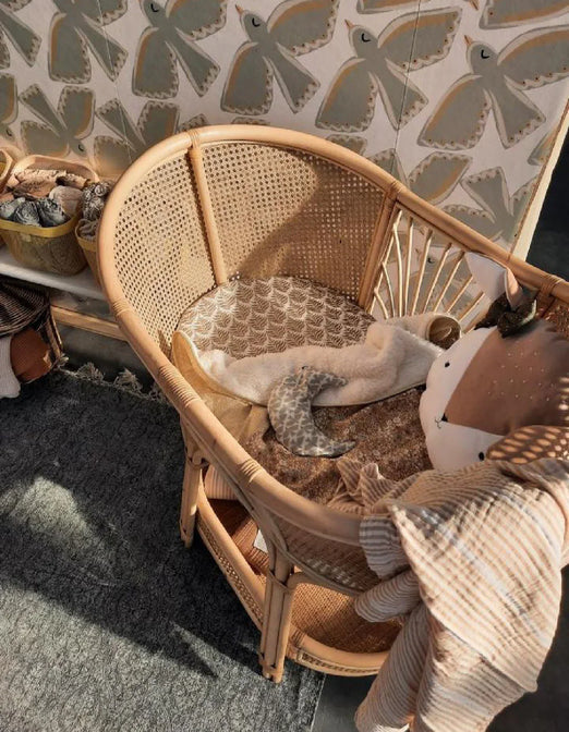 Rotan Wieg (incl. opbergruimte)