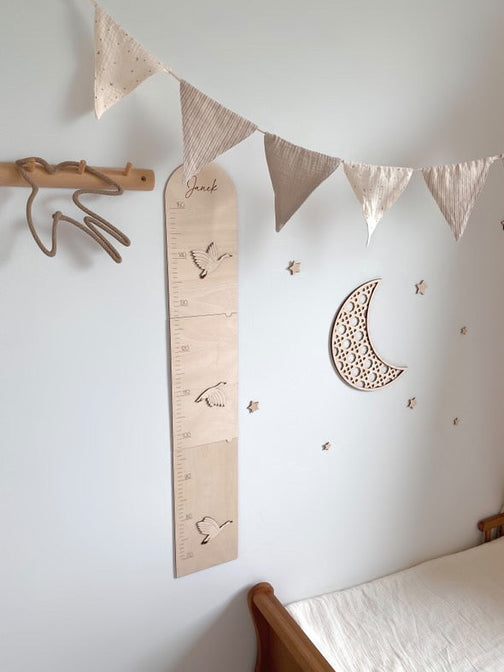 Personalisierte Wachstumskurve für Gänse