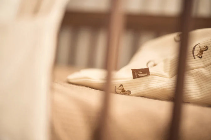 Schlafsack mit abnehmbarem Ärmel Nostalgic Ride