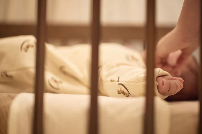 Schlafsack mit abnehmbarem Ärmel Nostalgic Ride