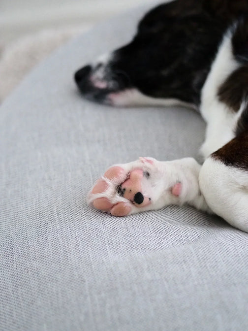 Vloerkussen LEMPI Stone - Fitwood