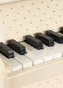 Piano - Teddy Beer