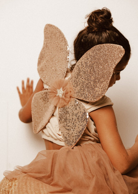 Das Glitzer-Schmetterlingskostüm