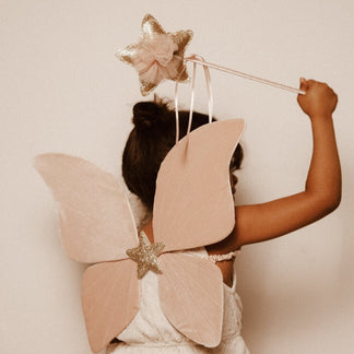 Das rosa Schmetterlingskostüm