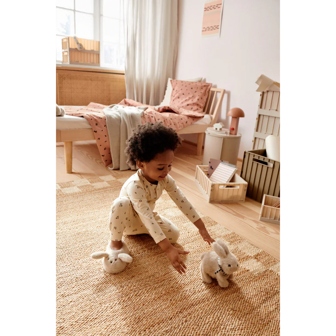 Dev Rabbit Motorteddy