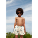 Aiden Bedruckte Boardshorts Krabbe / Sandy
