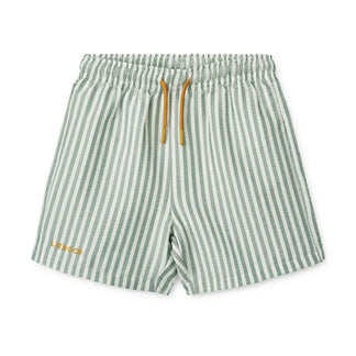 Duke Stripe Boardshorts Streifen Pfefferminze / Frisches Weiß