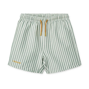 Duke Stripe Boardshorts Streifen Pfefferminze / Frisches Weiß