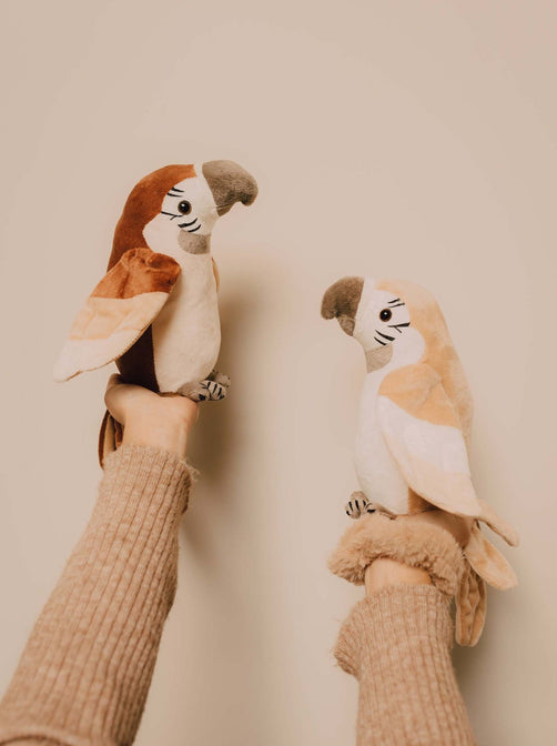 Pierre, der sprechende Papagei, nackt