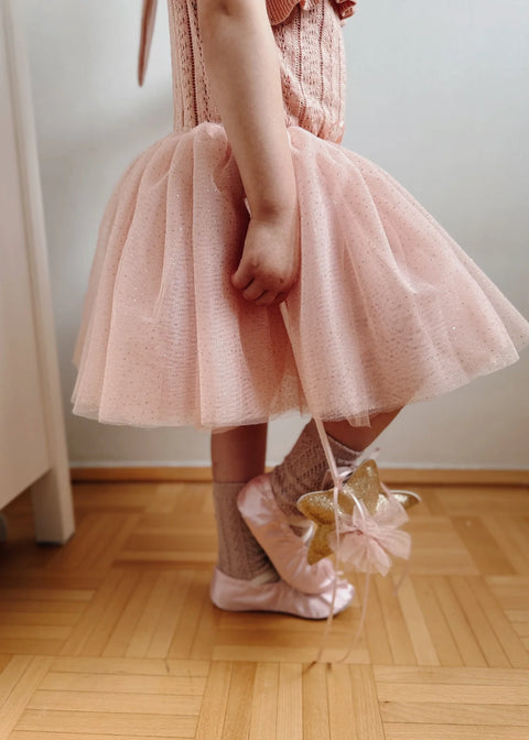 Das rosa Schmetterlingskostüm