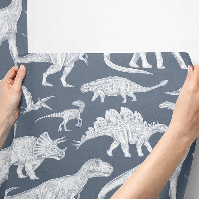 Dinosaurs Behang