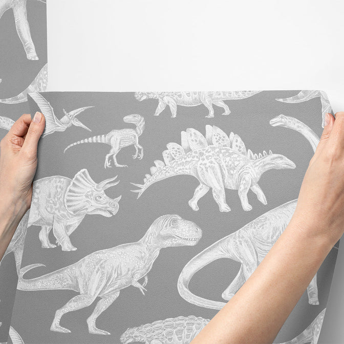 Dinosaurs Behang