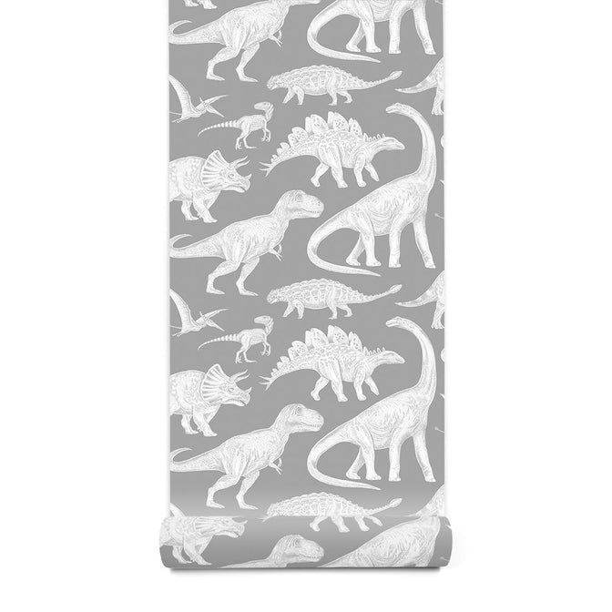 Dinosaurs Behang