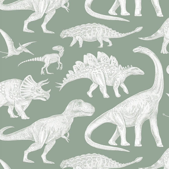 Dinosaurs Behang