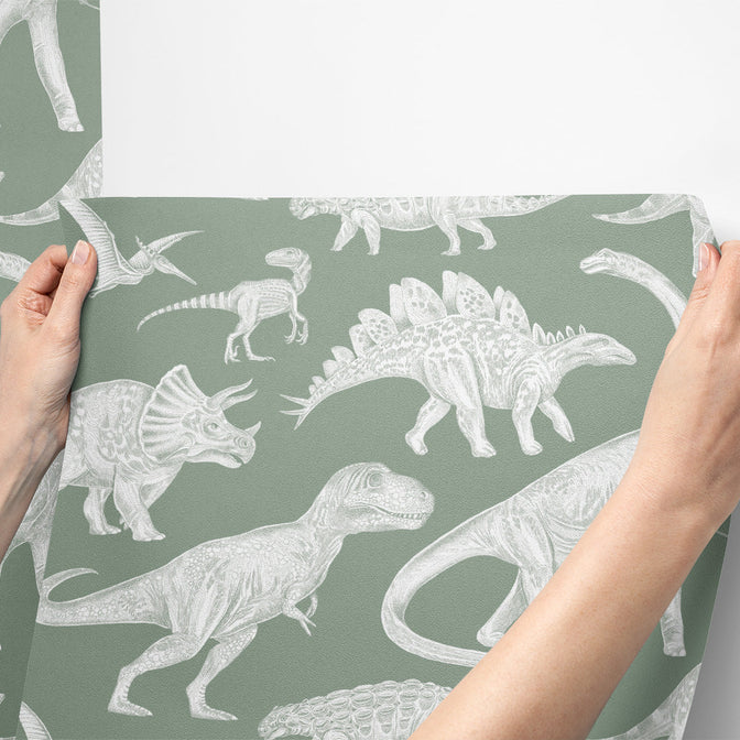 Dinosaurs Behang