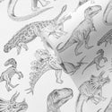 Dinosaurs Behang